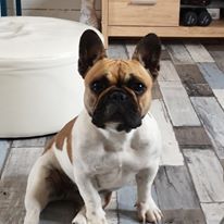 Pink floyd Héritier De La Sphère D'Idunn